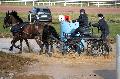 Photo n 35845&#10;CAI** LISIEUX 2016. Photo Chevalandrieu&#10;Franois DUTILLOY. France&#10;Affiche 32 fois&#10;Ajoute le 09/03/2016 14:40:09 par Nadinetoudic&#10;&#10;--> Cliquer pour agrandir <--