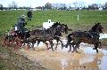 Photo n 35846&#10;CAI** LISIEUX 2016. Photo Chevalandrieu&#10;Nicolas DEUDON. Belgique&#10;Affiche 25 fois&#10;Ajoute le 09/03/2016 14:40:09 par Nadinetoudic&#10;&#10;--> Cliquer pour agrandir <--