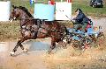 Photo n 35849&#10;CAI** LISIEUX 2016. Photo Chevalandrieu&#10;Anne-Violaine BRISOU. France&#10;Affiche 34 fois&#10;Ajoute le 09/03/2016 14:40:09 par Nadinetoudic&#10;&#10;--> Cliquer pour agrandir <--