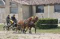 Photo n 36083&#10;Uzs 2016&#10;&#10;Affiche 16 fois&#10;Ajoute le 14/03/2016 07:17:27 par JeanClaudeGrognet&#10;&#10;--> Cliquer pour agrandir <--