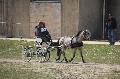 Photo n 36089&#10;Uzs 2016&#10;&#10;Affiche 17 fois&#10;Ajoute le 14/03/2016 07:17:27 par JeanClaudeGrognet&#10;&#10;--> Cliquer pour agrandir <--