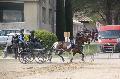 Photo n 36093&#10;Uzs 2016&#10;&#10;Affiche 11 fois&#10;Ajoute le 14/03/2016 07:17:27 par JeanClaudeGrognet&#10;&#10;--> Cliquer pour agrandir <--
