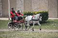 Photo n 36097&#10;Uzs 2016&#10;&#10;Affiche 12 fois&#10;Ajoute le 14/03/2016 07:17:27 par JeanClaudeGrognet&#10;&#10;--> Cliquer pour agrandir <--