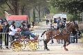 Photo n 36100&#10;Uzs 2016&#10;&#10;Affiche 16 fois&#10;Ajoute le 14/03/2016 07:17:27 par JeanClaudeGrognet&#10;&#10;--> Cliquer pour agrandir <--