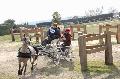 Photo n 36104&#10;Uzs 2016&#10;&#10;Affiche 11 fois&#10;Ajoute le 14/03/2016 07:17:27 par JeanClaudeGrognet&#10;&#10;--> Cliquer pour agrandir <--