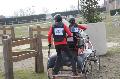 Photo n 36108&#10;Uzs 2016&#10;&#10;Affiche 18 fois&#10;Ajoute le 14/03/2016 07:17:28 par JeanClaudeGrognet&#10;&#10;--> Cliquer pour agrandir <--