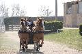 Photo n 36112&#10;Uzs 2016&#10;&#10;Affiche 22 fois&#10;Ajoute le 14/03/2016 07:17:28 par JeanClaudeGrognet&#10;&#10;--> Cliquer pour agrandir <--