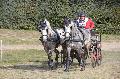Photo n 36114&#10;Uzs 2016&#10;&#10;Affiche 18 fois&#10;Ajoute le 14/03/2016 07:17:28 par JeanClaudeGrognet&#10;&#10;--> Cliquer pour agrandir <--