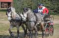 Photo n 36115&#10;Uzs 2016&#10;&#10;Affiche 19 fois&#10;Ajoute le 14/03/2016 07:17:28 par JeanClaudeGrognet&#10;&#10;--> Cliquer pour agrandir <--
