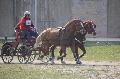 Photo n 36122&#10;Uzs 2016&#10;&#10;Affiche 18 fois&#10;Ajoute le 14/03/2016 07:17:28 par JeanClaudeGrognet&#10;&#10;--> Cliquer pour agrandir <--