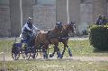Photo n 36125&#10;Uzs 2016&#10;&#10;Affiche 14 fois&#10;Ajoute le 14/03/2016 07:17:28 par JeanClaudeGrognet&#10;&#10;--> Cliquer pour agrandir <--