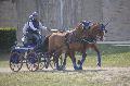 Photo n 36126&#10;Uzs 2016&#10;&#10;Affiche 15 fois&#10;Ajoute le 14/03/2016 07:17:28 par JeanClaudeGrognet&#10;&#10;--> Cliquer pour agrandir <--