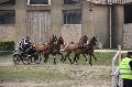 Photo n 36132&#10;Uzs 2016&#10;&#10;Affiche 28 fois&#10;Ajoute le 14/03/2016 07:17:28 par JeanClaudeGrognet&#10;&#10;--> Cliquer pour agrandir <--