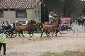 Photo n 36133&#10;Uzs 2016&#10;&#10;Affiche 19 fois&#10;Ajoute le 14/03/2016 07:17:28 par JeanClaudeGrognet&#10;&#10;--> Cliquer pour agrandir <--