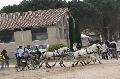 Photo n 36135&#10;Uzs 2016&#10;&#10;Affiche 27 fois&#10;Ajoute le 14/03/2016 07:17:28 par JeanClaudeGrognet&#10;&#10;--> Cliquer pour agrandir <--