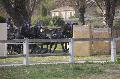 Photo n 36137&#10;Uzs 2016&#10;&#10;Affiche 29 fois&#10;Ajoute le 14/03/2016 07:17:29 par JeanClaudeGrognet&#10;&#10;--> Cliquer pour agrandir <--