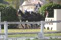 Photo n 36138&#10;Uzs 2016&#10;&#10;Affiche 23 fois&#10;Ajoute le 14/03/2016 07:17:29 par JeanClaudeGrognet&#10;&#10;--> Cliquer pour agrandir <--