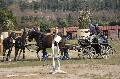 Photo n 36139&#10;Uzs 2016&#10;&#10;Affiche 29 fois&#10;Ajoute le 14/03/2016 07:17:29 par JeanClaudeGrognet&#10;&#10;--> Cliquer pour agrandir <--