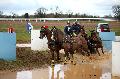 Photo n 36144&#10;CAI** LISIEUX 2016. Photo Chevalandrieu&#10;Fabrice MARTIN. France&#10;Affiche 33 fois&#10;Ajoute le 15/03/2016 16:51:10 par Nadinetoudic&#10;&#10;--> Cliquer pour agrandir <--