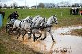 Photo n 36145&#10;CAI** LISIEUX 2016. Photo Chevalandrieu&#10;Franois VOGEL. France&#10;Affiche 38 fois&#10;Ajoute le 15/03/2016 16:51:10 par Nadinetoudic&#10;&#10;--> Cliquer pour agrandir <--
