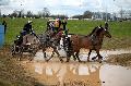 Photo n 36146&#10;CAI** LISIEUX 2016. Photo Chevalandrieu&#10;Thibault COUDRY. France&#10;Affiche 30 fois&#10;Ajoute le 15/03/2016 16:51:10 par Nadinetoudic&#10;&#10;--> Cliquer pour agrandir <--