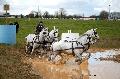 Photo n 36147&#10;CAI** LISIEUX 2016. Photo Chevalandrieu&#10;Jos RICHE. Belgique&#10;Affiche 28 fois&#10;Ajoute le 15/03/2016 16:51:10 par Nadinetoudic&#10;&#10;--> Cliquer pour agrandir <--