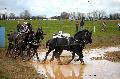 Photo n 36148&#10;CAI** LISIEUX 2016. Photo Chevalandrieu&#10;Sbastien MOURIER. France&#10;Affiche 34 fois&#10;Ajoute le 15/03/2016 16:51:10 par Nadinetoudic&#10;&#10;--> Cliquer pour agrandir <--