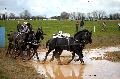 Photo n° 36148
CAI** LISIEUX 2016. Photo Chevalandrieu
Sébastien MOURIER. France
Affichée 32 fois
Ajoutée le 15/03/2016 16:51:10 par Nadinetoudic

--> Cliquer pour agrandir <--