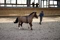Photo n 36152&#10;Longues Rnes. Deauville 2016 Photo Chevalandrieu&#10;Jean-Franois GUILLOTEAU avec Hauban&#10;Affiche 74 fois&#10;Ajoute le 15/03/2016 17:32:05 par Nadinetoudic&#10;&#10;--> Cliquer pour agrandir <--