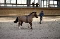 Photo n° 36152
Longues Rênes. Deauville 2016 Photo Chevalandrieu
Jean-François GUILLOTEAU avec Hauban
Affichée 73 fois
Ajoutée le 15/03/2016 17:32:05 par Nadinetoudic

--> Cliquer pour agrandir <--