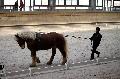 Photo n 36154&#10;Longues Rnes. Deauville 2016 Photo Chevalandrieu&#10;Boris AROKEUM avec Tendresse&#10;Affiche 46 fois&#10;Ajoute le 15/03/2016 17:32:05 par Nadinetoudic&#10;&#10;--> Cliquer pour agrandir <--