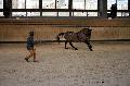 Photo n 36157&#10;Longues Rnes. Deauville 2016 Photo Chevalandrieu&#10;Sabine MIOSSEC de LARRARD avec Quipou&#10;Affiche 54 fois&#10;Ajoute le 15/03/2016 17:32:05 par Nadinetoudic&#10;&#10;--> Cliquer pour agrandir <--