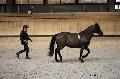 Photo n 36158&#10;Longues Rnes. Deauville 2016 Photo Chevalandrieu&#10;Loc BOUSSARD avec Nerax&#10;Affiche 41 fois&#10;Ajoute le 15/03/2016 17:32:06 par Nadinetoudic&#10;&#10;--> Cliquer pour agrandir <--