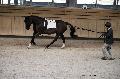 Photo n 36159&#10;Longues Rnes. Deauville 2016 Photo Chevalandrieu&#10;Brigitte GIBON avec Gepard&#10;Affiche 110 fois&#10;Ajoute le 15/03/2016 17:32:06 par Nadinetoudic&#10;&#10;--> Cliquer pour agrandir <--