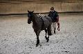 Photo n 36160&#10;Longues Rnes. Deauville 2016 Photo Chevalandrieu&#10;Yves GERARD avec Ubi wan&#10;Affiche 36 fois&#10;Ajoute le 15/03/2016 17:32:06 par Nadinetoudic&#10;&#10;--> Cliquer pour agrandir <--