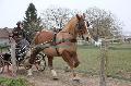 Photo n 36168&#10;Bois de Lihus 2016&#10;&#10;Affiche 50 fois&#10;Ajoute le 20/03/2016 13:42:13 par JeanClaudeGrognet&#10;&#10;--> Cliquer pour agrandir <--