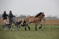 Photo n 36172&#10;Bois de Lihus 2016&#10;&#10;Affiche 16 fois&#10;Ajoute le 20/03/2016 13:42:13 par JeanClaudeGrognet&#10;&#10;--> Cliquer pour agrandir <--
