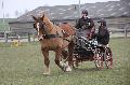 Photo n 36178&#10;Bois de Lihus 2016&#10;&#10;Affiche 22 fois&#10;Ajoute le 20/03/2016 13:42:13 par JeanClaudeGrognet&#10;&#10;--> Cliquer pour agrandir <--
