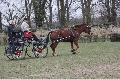 Photo n 36186&#10;Bois de Lihus 2016&#10;&#10;Affiche 15 fois&#10;Ajoute le 20/03/2016 13:42:13 par JeanClaudeGrognet&#10;&#10;--> Cliquer pour agrandir <--