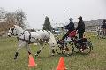 Photo n 36194&#10;Bois de Lihus 2016&#10;&#10;Affiche 19 fois&#10;Ajoute le 20/03/2016 13:42:13 par JeanClaudeGrognet&#10;&#10;--> Cliquer pour agrandir <--