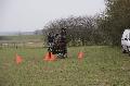 Photo n 36197&#10;Bois de Lihus 2016&#10;&#10;Affiche 25 fois&#10;Ajoute le 20/03/2016 13:42:13 par JeanClaudeGrognet&#10;&#10;--> Cliquer pour agrandir <--