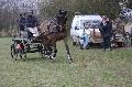 Photo n 36199&#10;Bois de Lihus 2016&#10;&#10;Affiche 38 fois&#10;Ajoute le 20/03/2016 13:42:13 par JeanClaudeGrognet&#10;&#10;--> Cliquer pour agrandir <--
