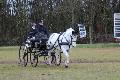 Photo n 36249&#10;Cormoranche 2016 photo Juju&#10;Bernard Chassy et Queen&#10;Affiche 25 fois&#10;Ajoute le 29/03/2016 08:28:28 par JeanClaudeGrognet&#10;&#10;--> Cliquer pour agrandir <--