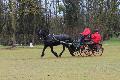 Photo n° 36252
Cormoranche 2016 photo Juju
Daniel Gouzon et Joconde du Terrier
Affichée 18 fois
Ajoutée le 29/03/2016 08:28:28 par JeanClaudeGrognet

--> Cliquer pour agrandir <--