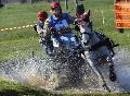 Photo n 36294&#10;Neewiller 2016&#10;Image de promotion du concours&#10;Affiche 48 fois&#10;Ajoute le 30/03/2016 08:56:03 par JeanClaudeGrognet&#10;&#10;--> Cliquer pour agrandir <--