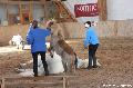 Photo n 36363&#10;AVS - Les Jeudis du Parc&#10;image de promotion&#10;Affiche 6 fois&#10;Ajoute le 07/04/2016 17:47:39 par JeanClaudeGrognet&#10;&#10;--> Cliquer pour agrandir <--