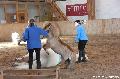 Photo n 36364&#10;AVS - Les Jeudis du Parc&#10;image de promotion&#10;Affiche 10 fois&#10;Ajoute le 07/04/2016 17:47:39 par JeanClaudeGrognet&#10;&#10;--> Cliquer pour agrandir <--