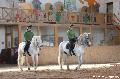 Photo n 36368&#10;AVS - Les Jeudis du Parc&#10;image de promotion&#10;Affiche 9 fois&#10;Ajoute le 07/04/2016 17:47:39 par JeanClaudeGrognet&#10;&#10;--> Cliquer pour agrandir <--