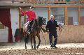 Photo n 36374&#10;AVS - Les Jeudis du Parc&#10;image de promotion&#10;Affiche 14 fois&#10;Ajoute le 07/04/2016 17:47:39 par JeanClaudeGrognet&#10;&#10;--> Cliquer pour agrandir <--