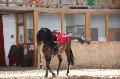 Photo n 36375&#10;AVS - Les Jeudis du Parc&#10;image de promotion&#10;Affiche 7 fois&#10;Ajoute le 07/04/2016 17:47:39 par JeanClaudeGrognet&#10;&#10;--> Cliquer pour agrandir <--